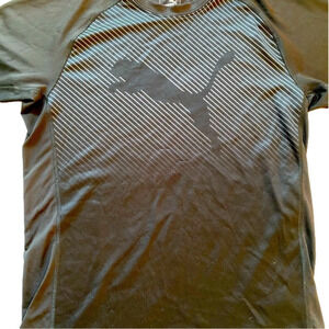 LOT of TWO Puma Dri Fit Tops, Men’s Small